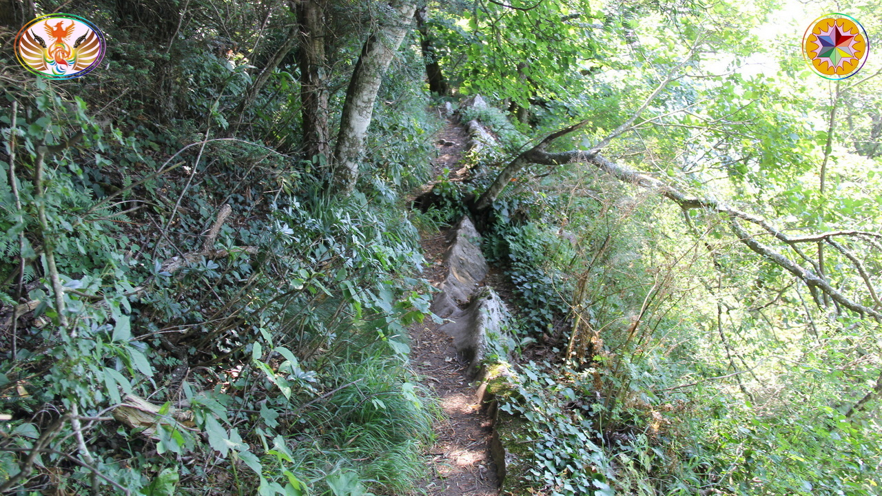 Croix de Lumière, Image de la Sainte-Baume d'Isapierre No 017 