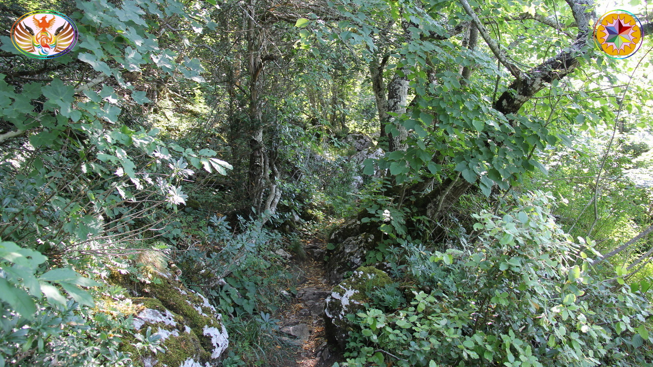 Croix de Lumière, Image de la Sainte-Baume d'Isapierre No 023 