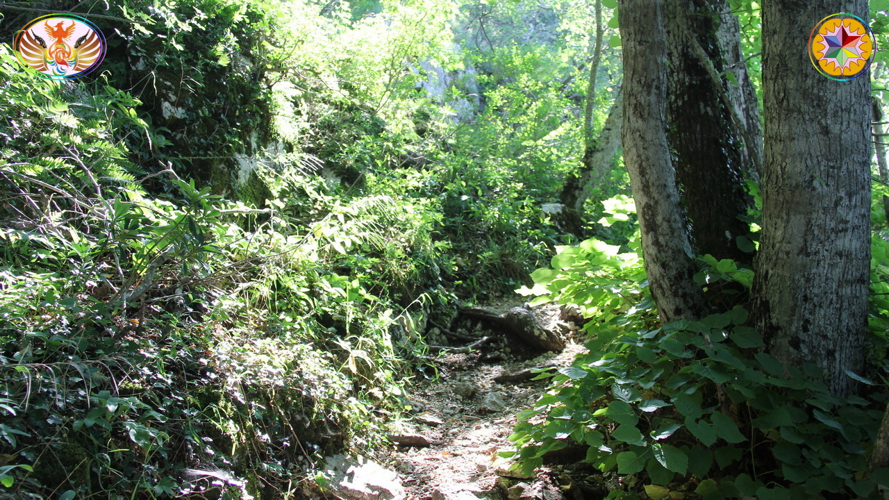 Croix de Lumière, Image de la Sainte-Baume d'Isapierre No 027 