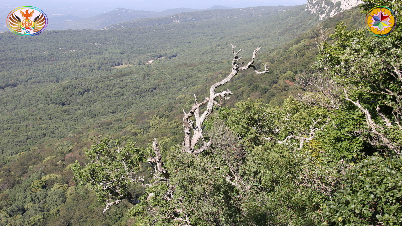 Croix de Lumière, Image de la Sainte-Baume d'Isapierre No 028 