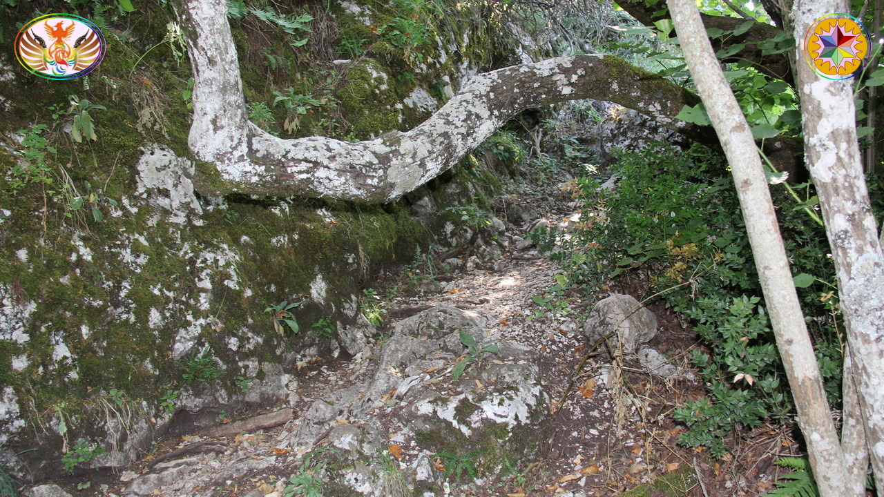Croix de Lumière, Image de la Sainte-Baume d'Isapierre No 030 
