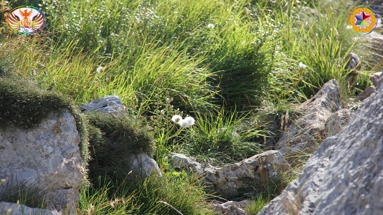 Croix de Lumière, Image de la Sainte-Baume d'Isapierre No 046 