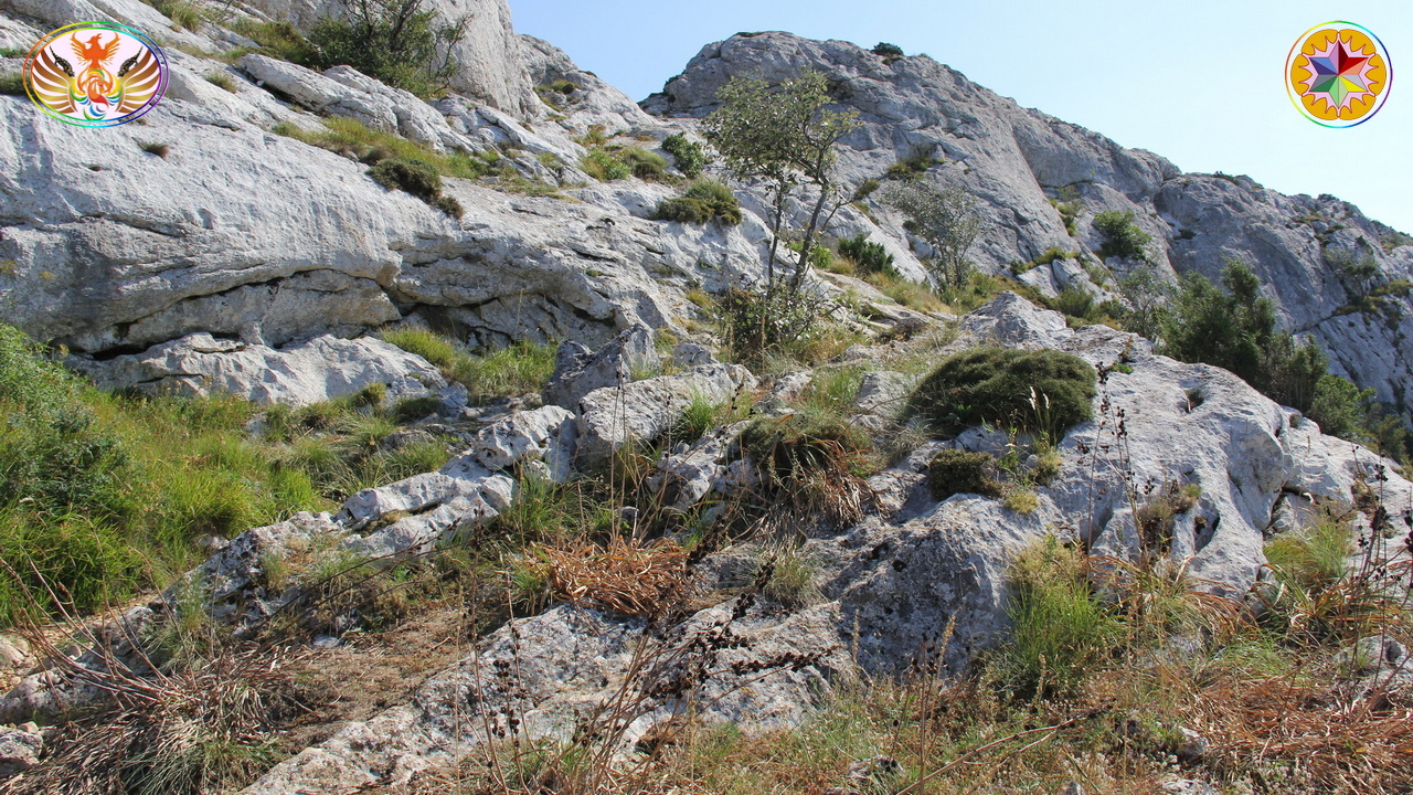 Croix de Lumière, Image de la Sainte-Baume d'Isapierre No 049 