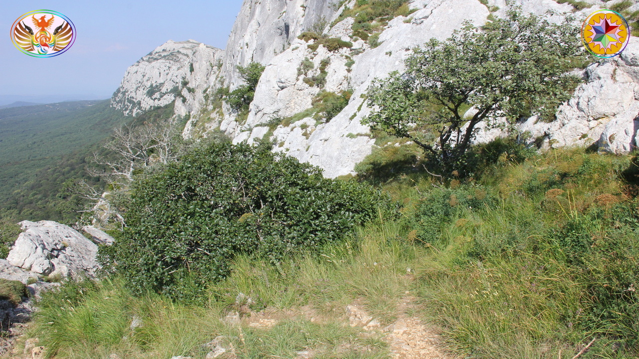 Croix de Lumière, Image de la Sainte-Baume d'Isapierre No 050 