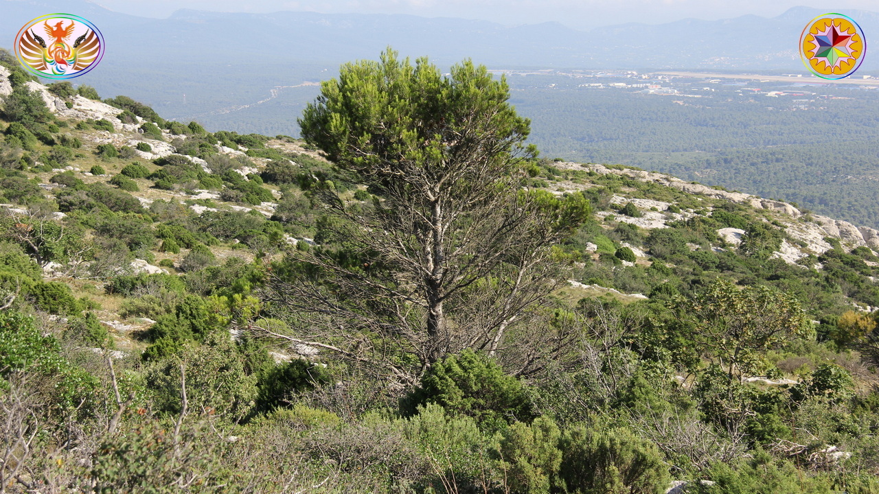 Croix de Lumière, Image de la Sainte-Baume d'Isapierre No 075 