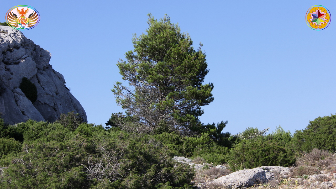 Croix de Lumière, Image de la Sainte-Baume d'Isapierre No 0090 