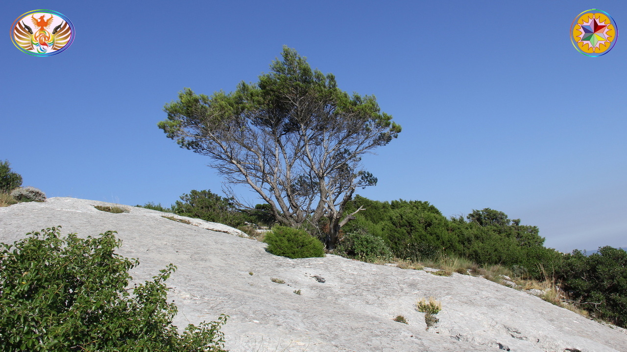 Croix de Lumière, Image de la Sainte-Baume d'Isapierre No 105 
