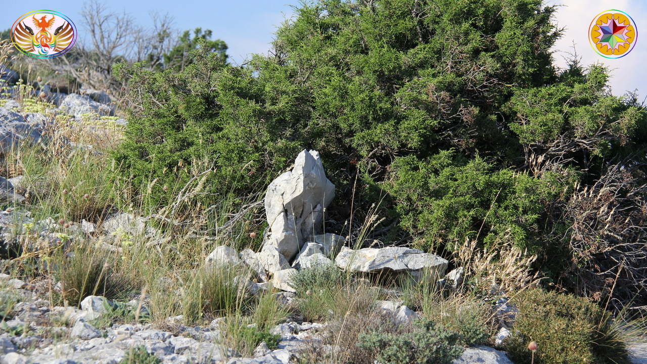 Croix de Lumière, Image de la Sainte-Baume d'Isapierre No 108 