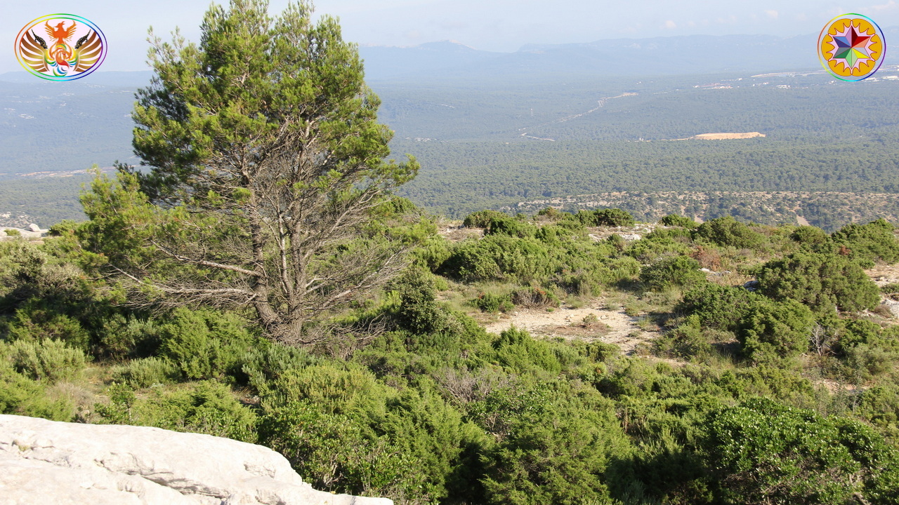 Croix de Lumière, Image de la Sainte-Baume d'Isapierre No 120 