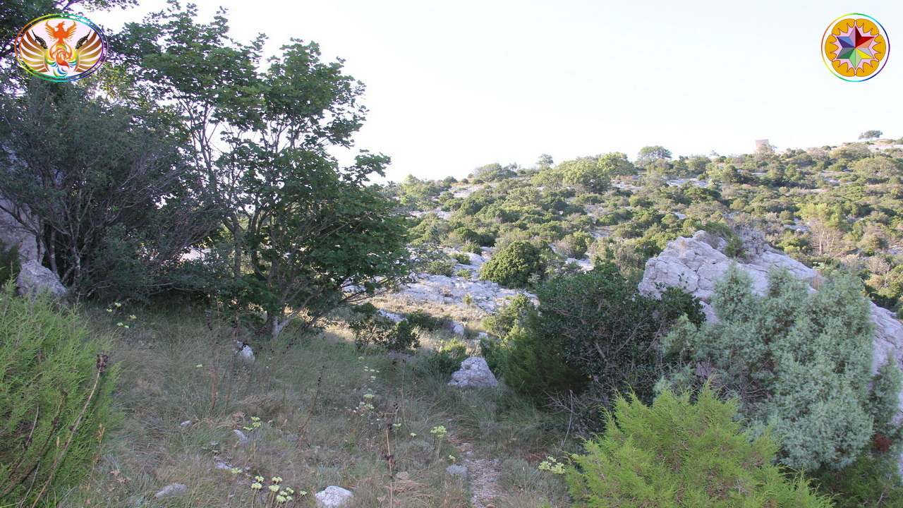 Croix de Lumière, Image de la Sainte-Baume d'Isapierre No 130 