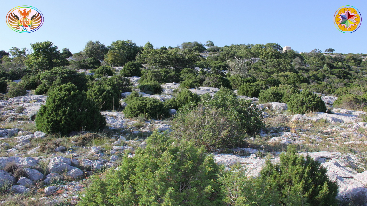 Croix de Lumière, Image de la Sainte-Baume d'Isapierre No 135 
