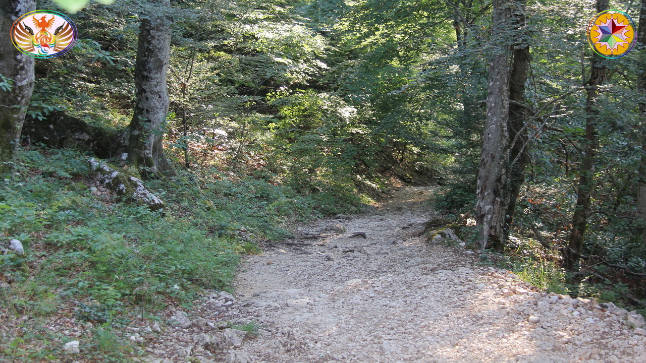 Croix de Lumière, Image de la Sainte-Baume d'Isapierre No 147 