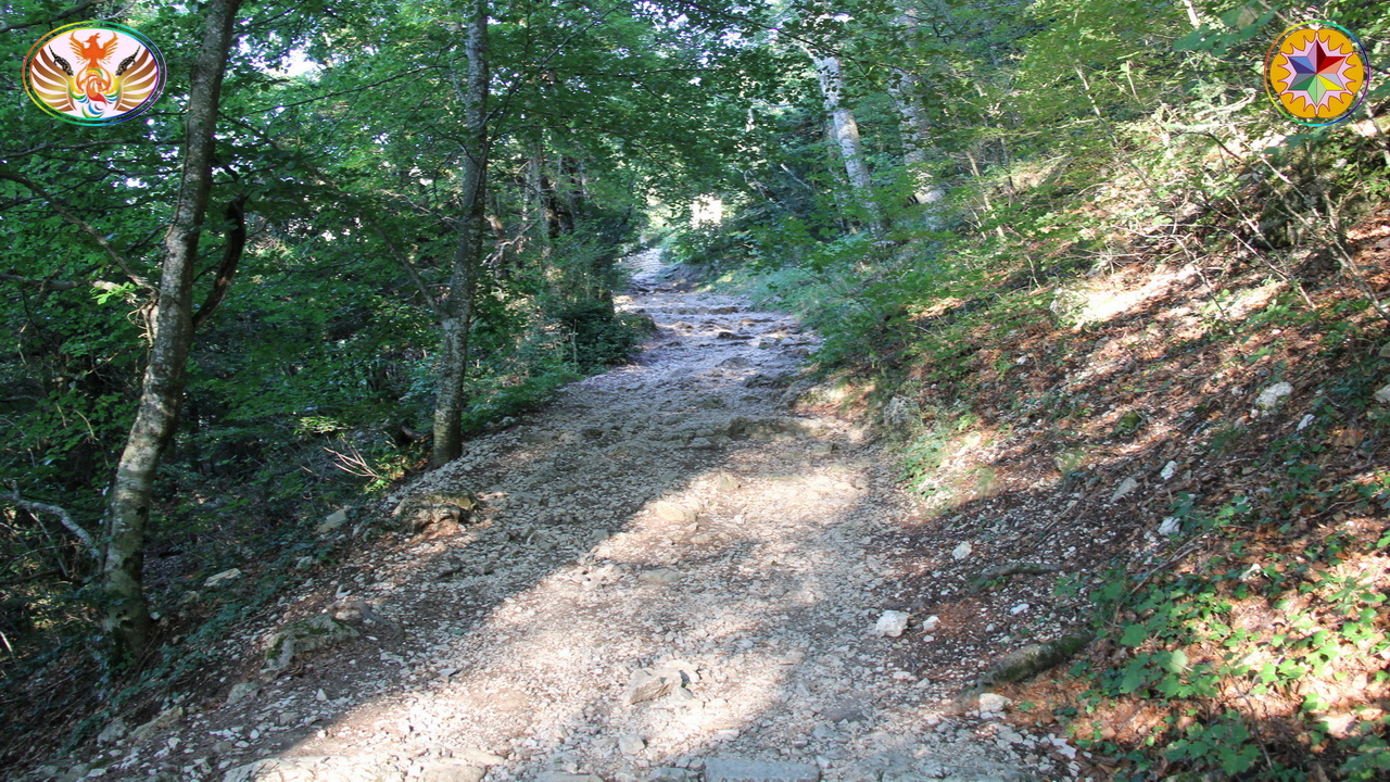 Croix de Lumière, Image de la Sainte-Baume d'Isapierre No 149 