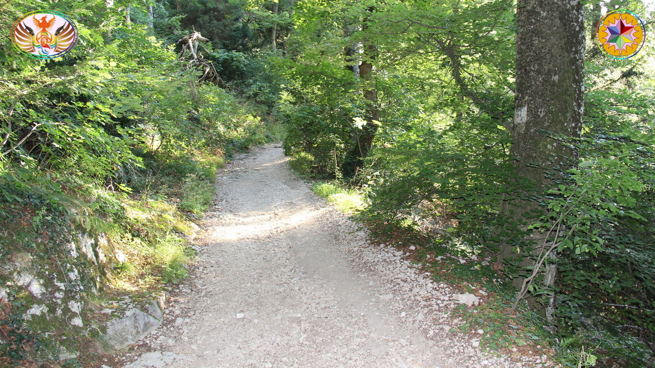 Croix de Lumière, Image de la Sainte-Baume d'Isapierre No 155 