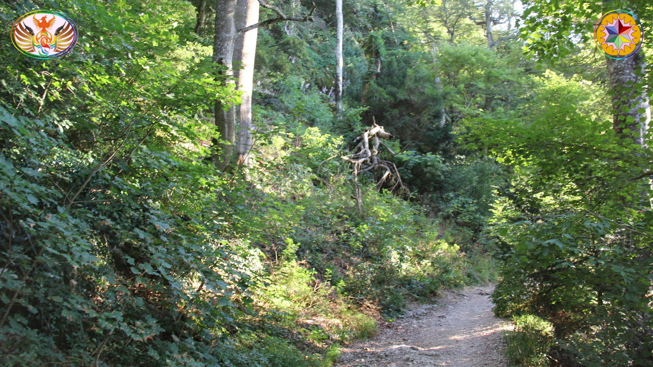 Croix de Lumière, Image de la Sainte-Baume d'Isapierre No 156 
