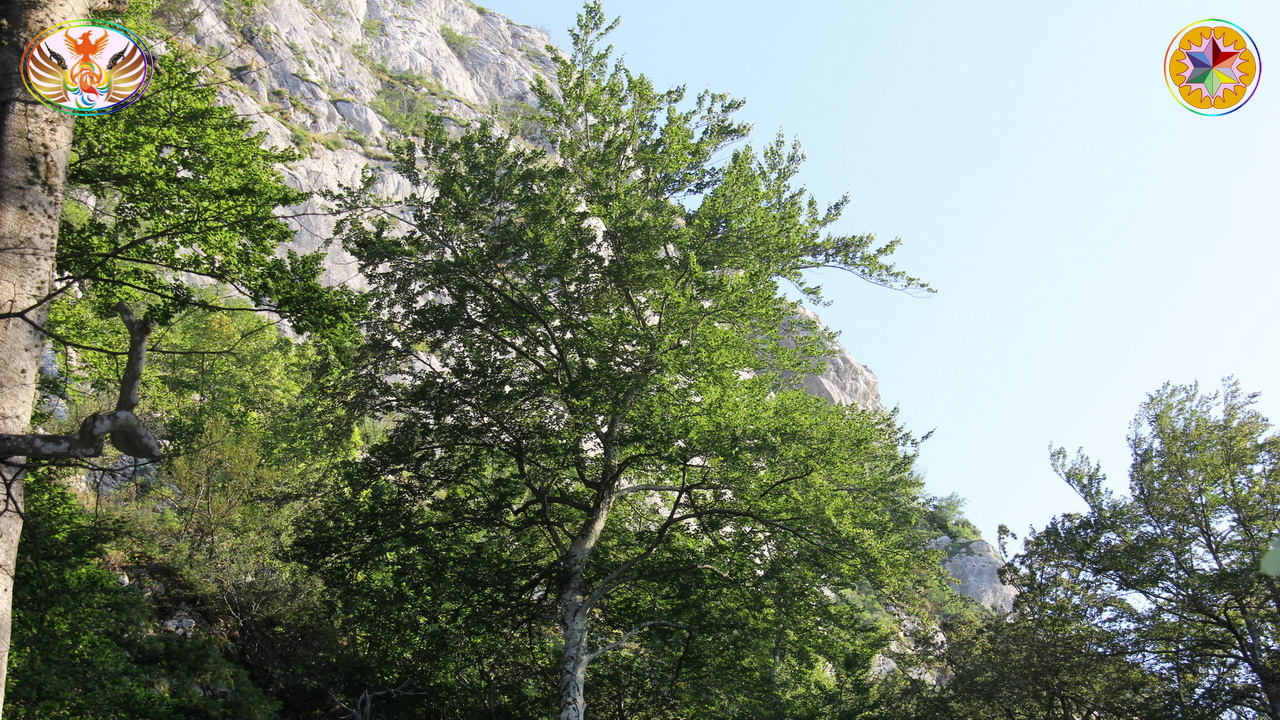 Croix de Lumière, Image de la Sainte-Baume d'Isapierre No 157 