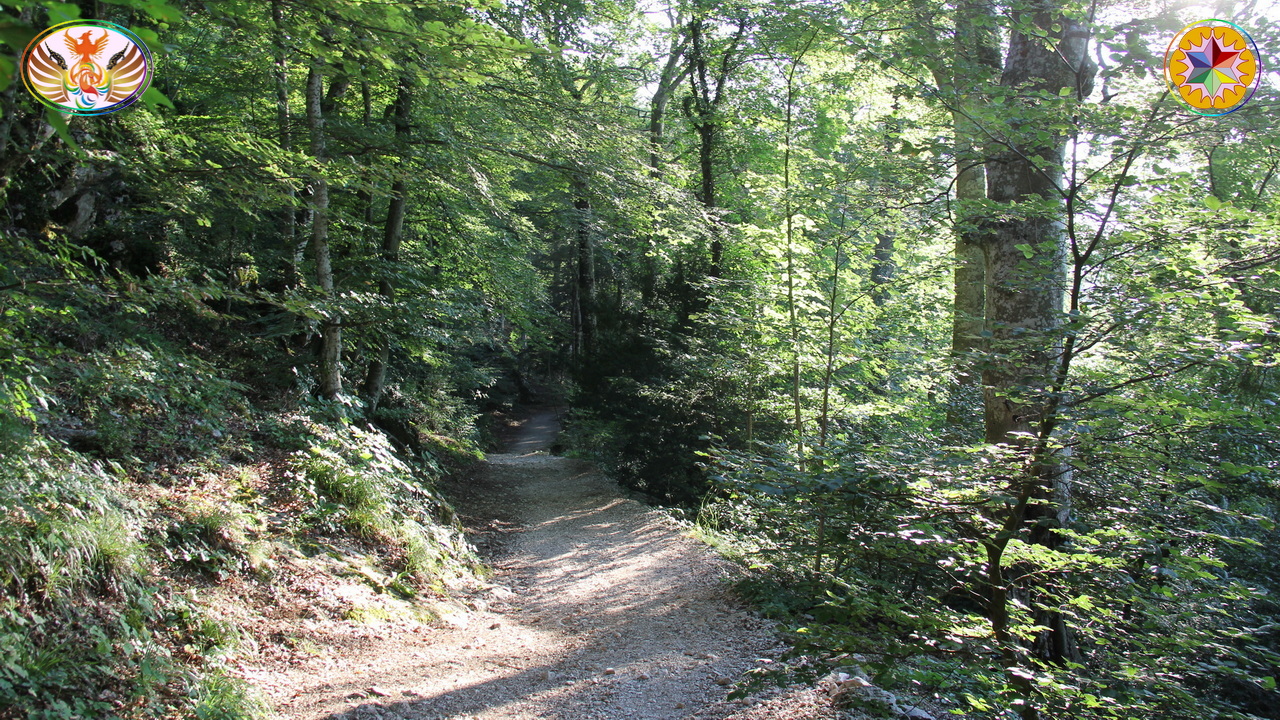 Croix de Lumière, Image de la Sainte-Baume d'Isapierre No 158 