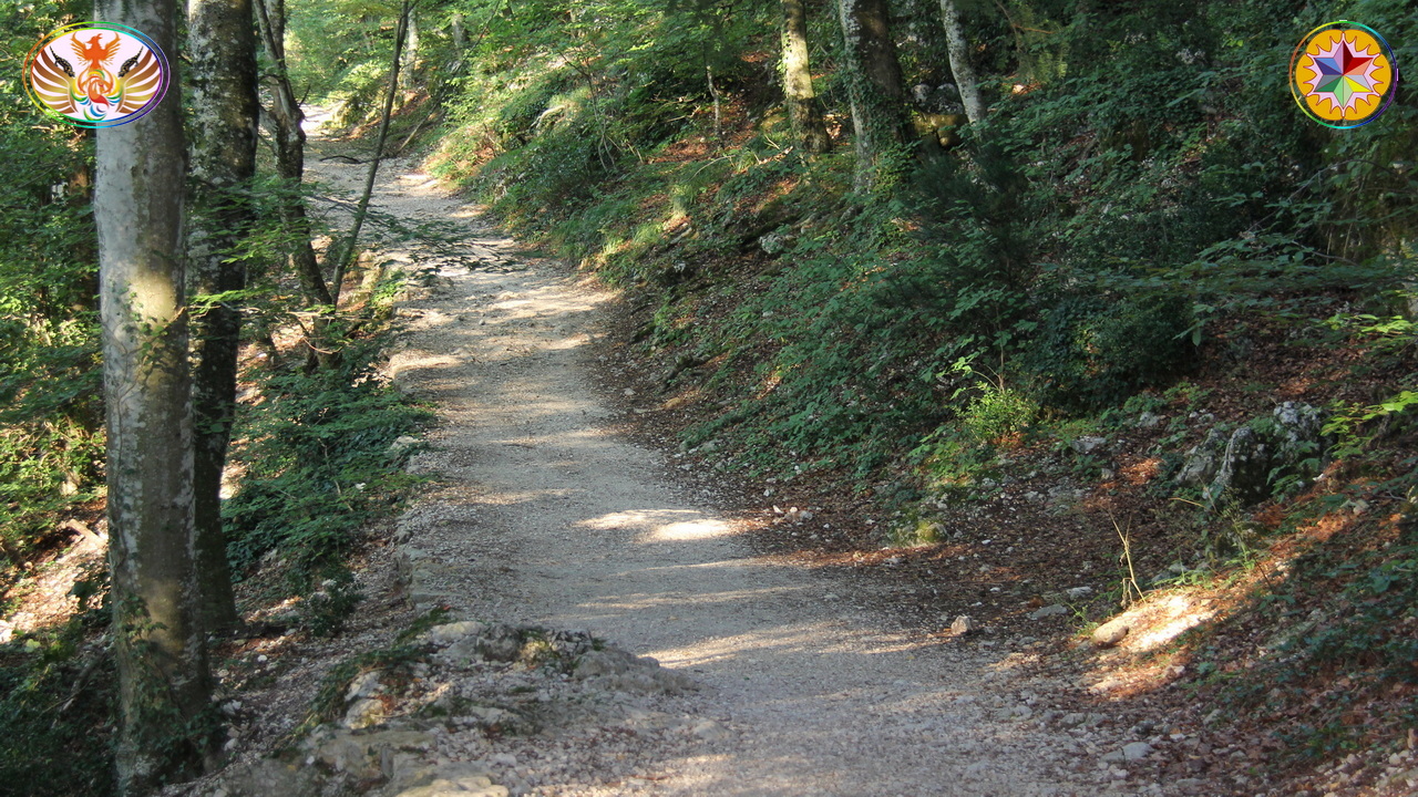 Croix de Lumière, Image de la Sainte-Baume d'Isapierre No 1010 
