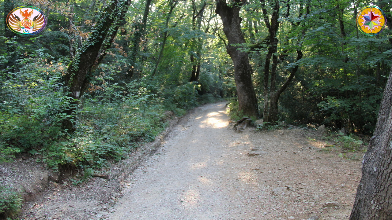 Croix de Lumière, Image de la Sainte-Baume d'Isapierre No 176 