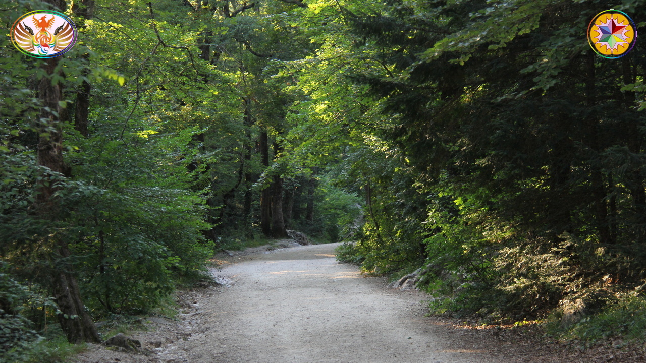 Croix de Lumière, Image de la Sainte-Baume d'Isapierre No 177 