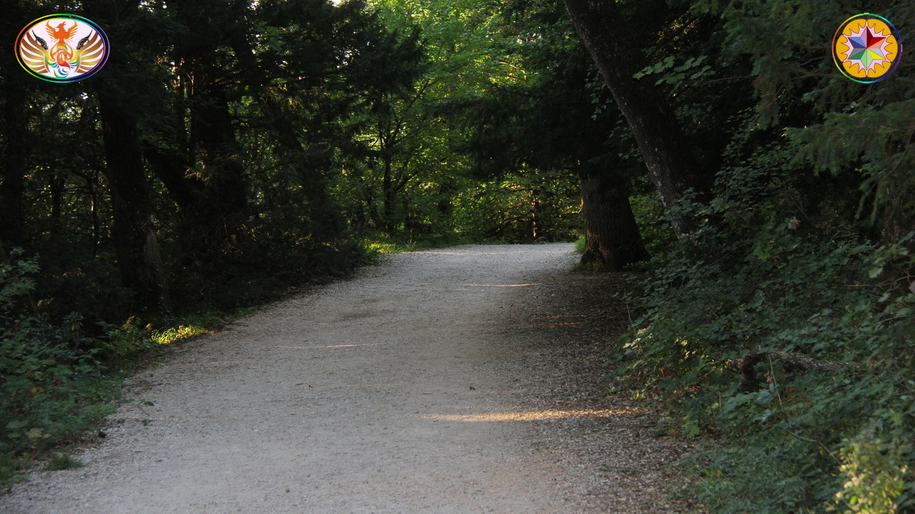 Croix de Lumière, Image de la Sainte-Baume d'Isapierre No 181 