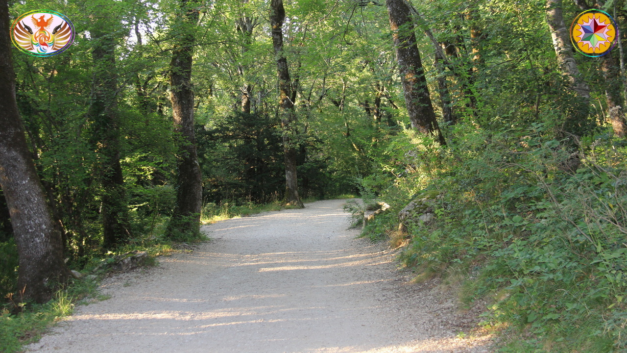 Croix de Lumière, Image de la Sainte-Baume d'Isapierre No 182 