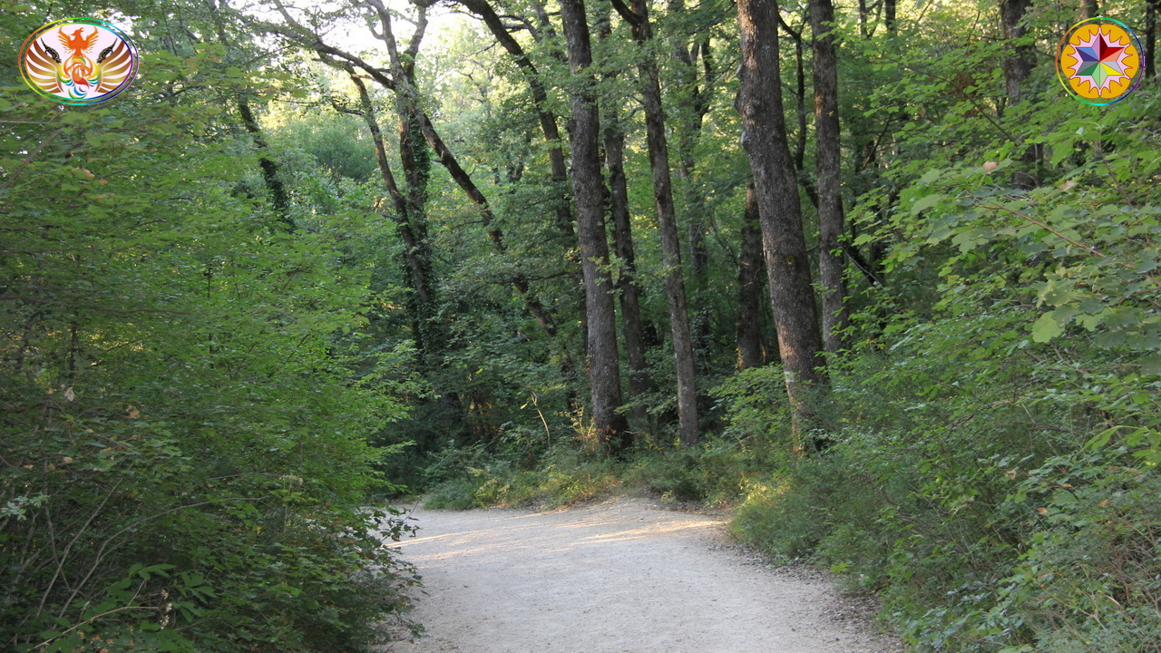 Croix de Lumière, Image de la Sainte-Baume d'Isapierre No 184 