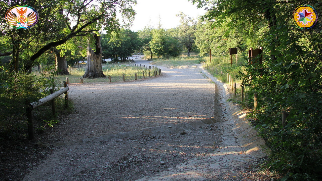 Croix de Lumière, Image de la Sainte-Baume d'Isapierre No 186 