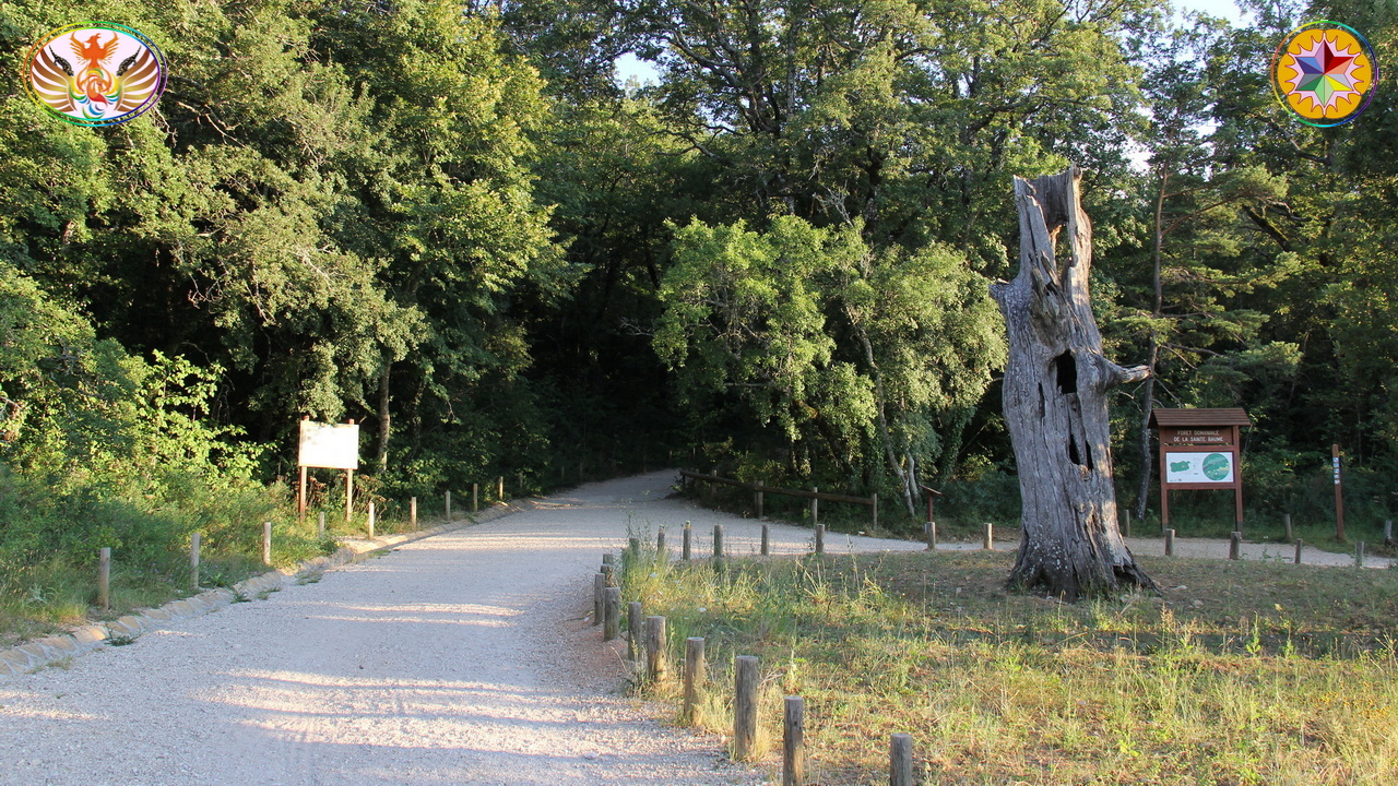 Croix de Lumière, Image de la Sainte-Baume d'Isapierre No 191 
