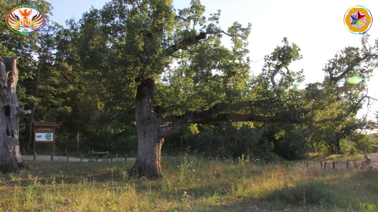 Croix de Lumière, Image de la Sainte-Baume d'Isapierre No 192 