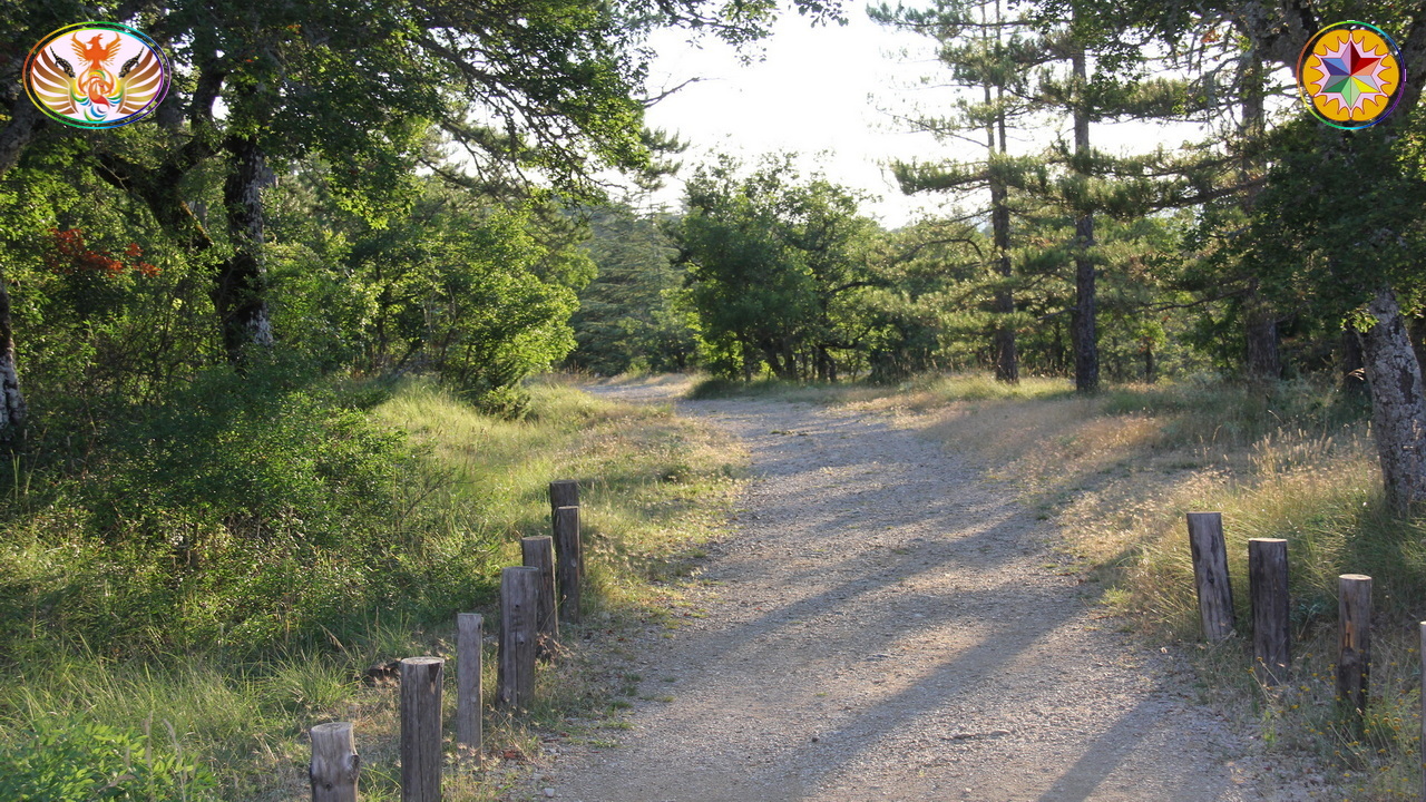 Cliquez sur la Photo pour quitter le Diaporama et Ouvrir la Photo correspondante...