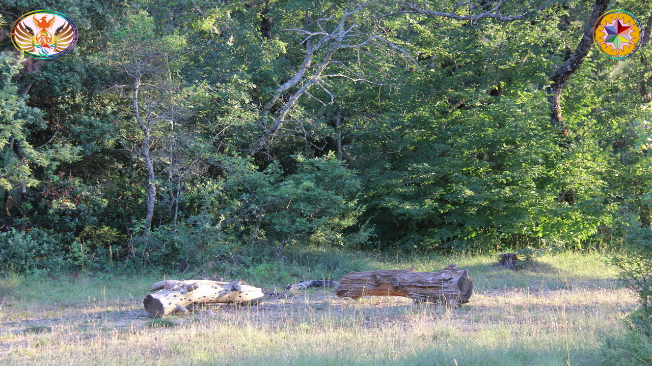 Croix de Lumière, Image de la Sainte-Baume d'Isapierre No 195 