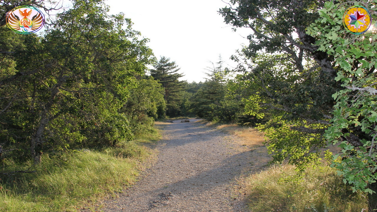 Croix de Lumière, Image de la Sainte-Baume d'Isapierre No 196 