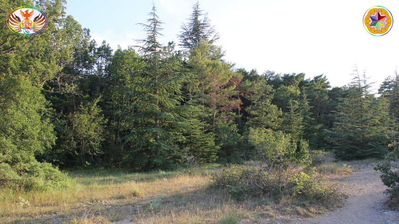 Croix de Lumière, Image de la Sainte-Baume d'Isapierre No 197 