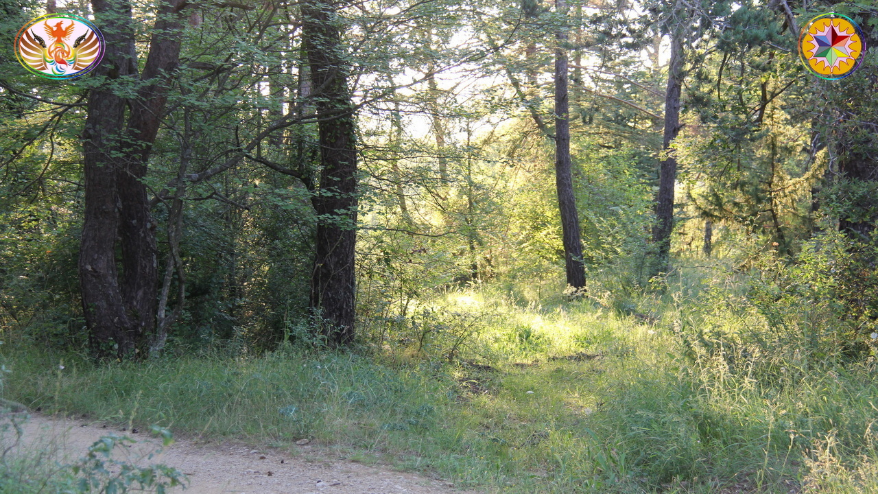 Croix de Lumière, Image de la Sainte-Baume d'Isapierre No 198 