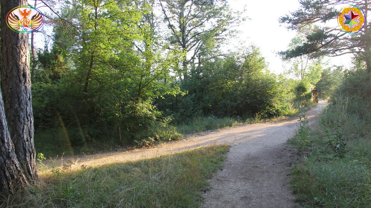Croix de Lumière, Image de la Sainte-Baume d'Isapierre No 199 