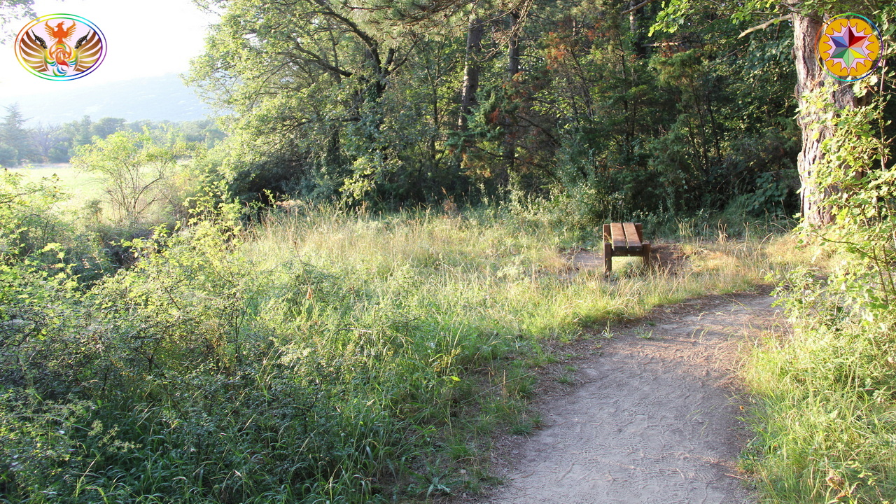 Croix de Lumière, Image de la Sainte-Baume d'Isapierre No 202 