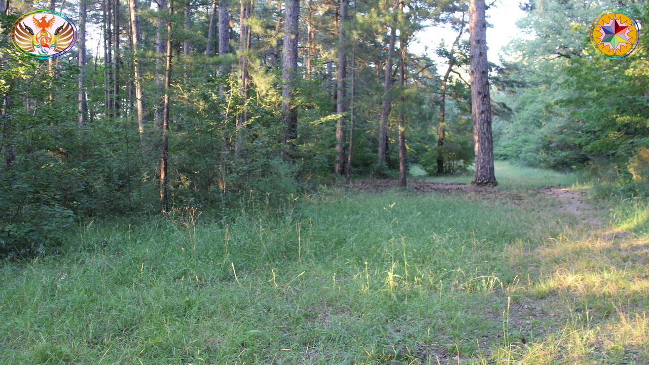Croix de Lumière, Image de la Sainte-Baume d'Isapierre No 203 