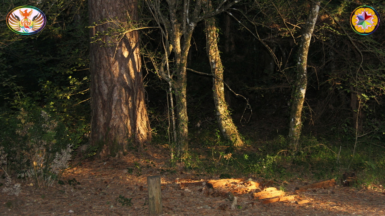 Croix de Lumière, Image de la Sainte-Baume d'Isapierre No 204 