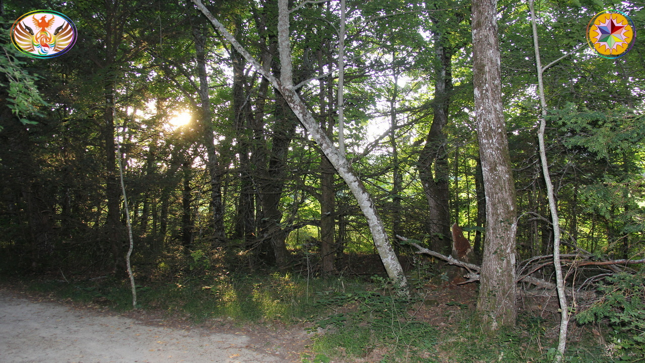 Croix de Lumière, Image de la Sainte-Baume d'Isapierre No 205 