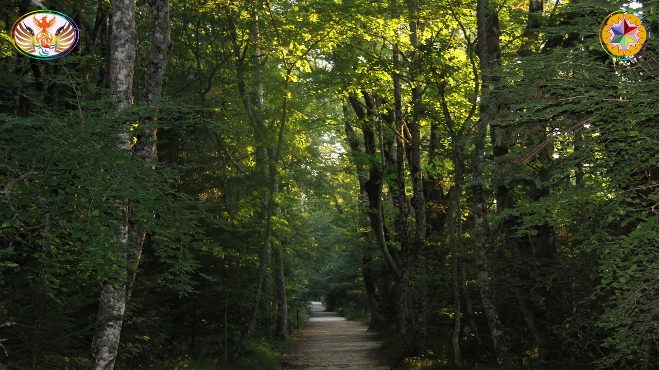 Croix de Lumière, Image de la Sainte-Baume d'Isapierre No 206 