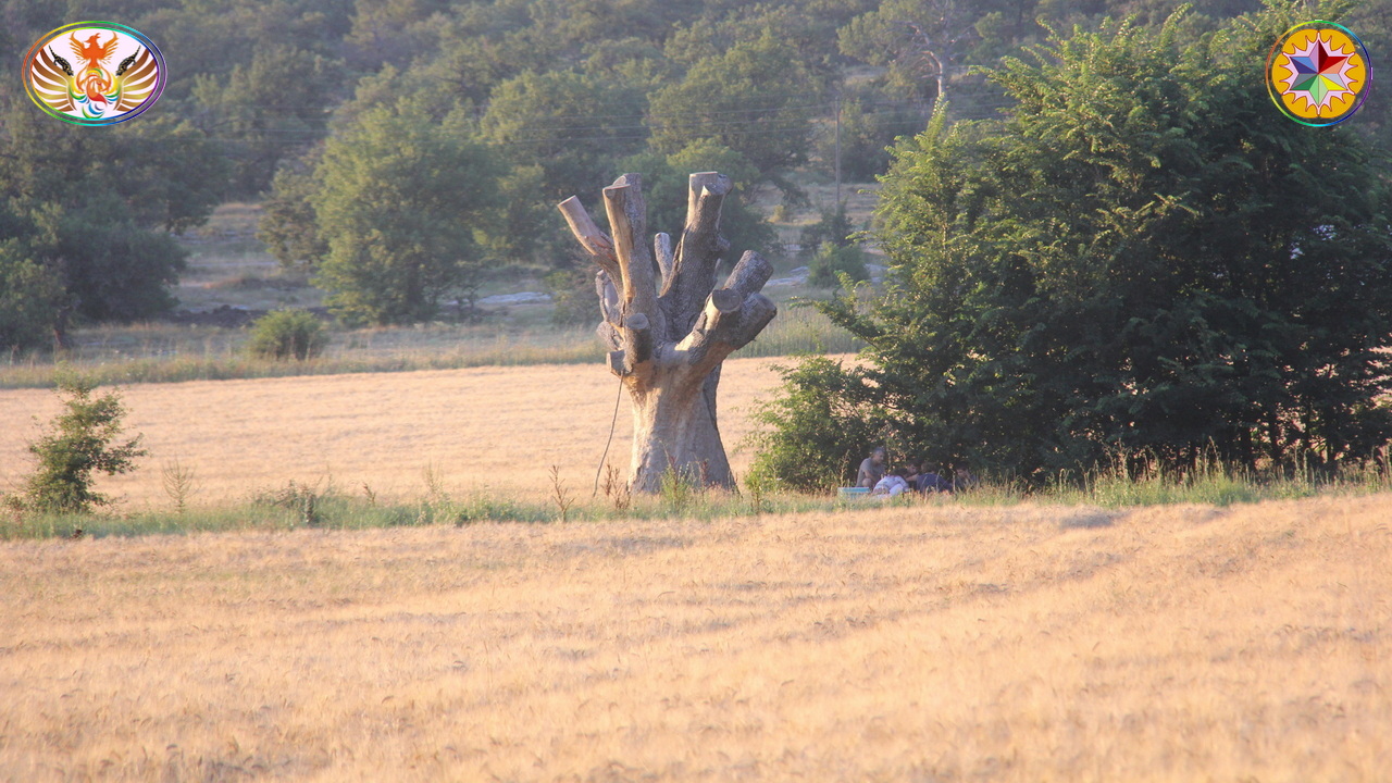 Croix de Lumière, Image de la Sainte-Baume d'Isapierre No 208 