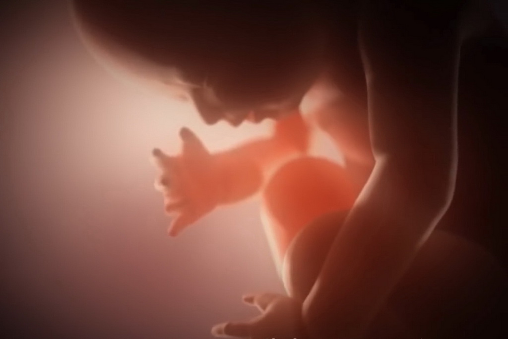 Croix de Lumière, Photo d'ISAPIERRE du Film THRIVE No 6 