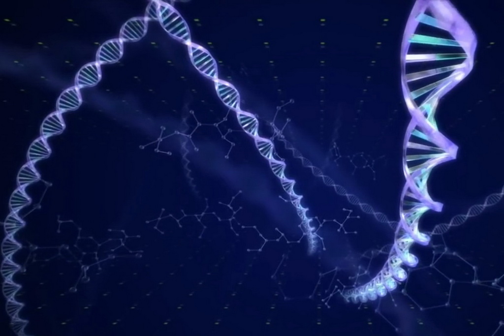 Croix de Lumière, Photo d'ISAPIERRE du Film THRIVE No 37 