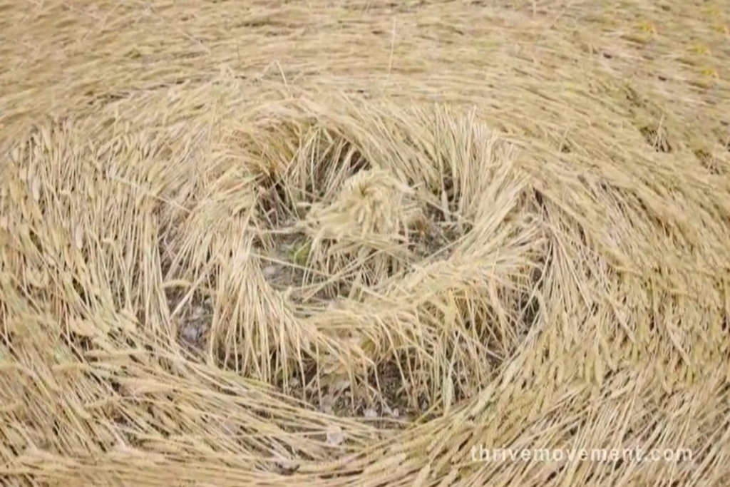 Croix de Lumière, Photo d'ISAPIERRE du Film THRIVE No 40 