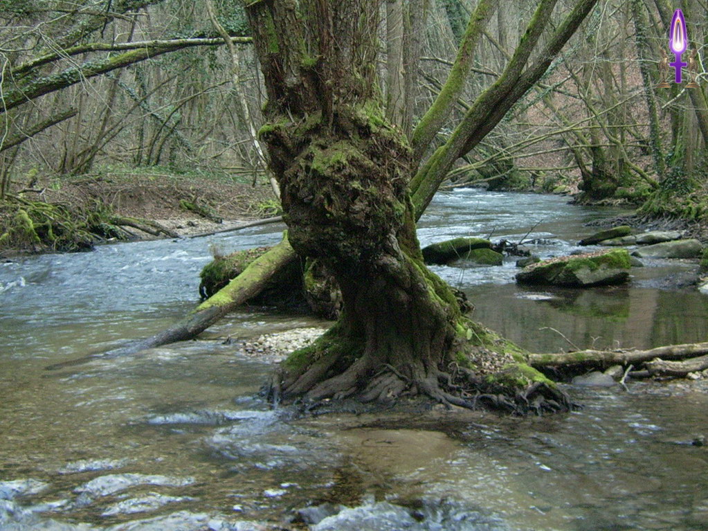 Espace No 8 : Se redresser bien droit est la meilleure action à entreprendre quelque soient les pressions des éléments qui nous entourent et qui parfois, semblent nous submerger...