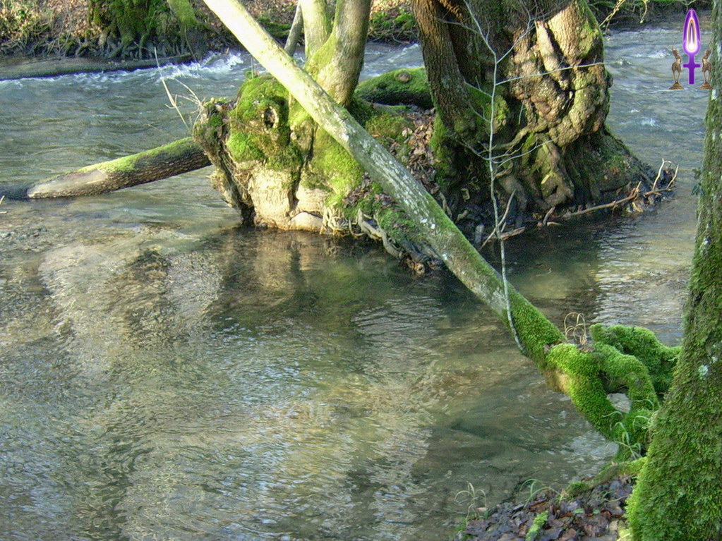 Espace No 10 : Changer sa vision des choses pour retrouver l'innocence de l'enfant permet de voir de belles choses comme cet Ange assis au fond de l'eau qu'observe un lapin très spécial...