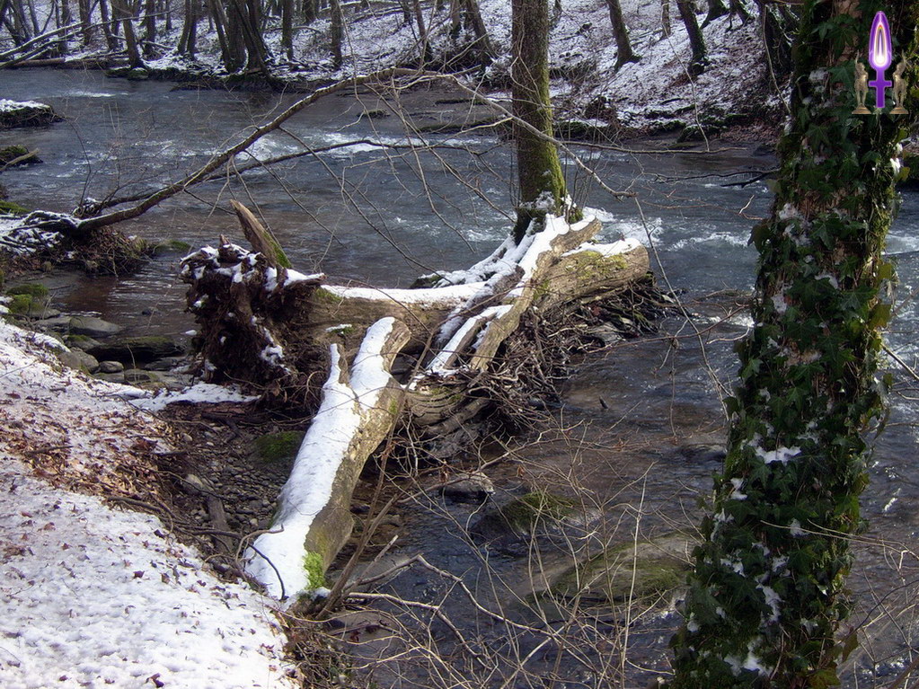 Espace No 12 : L'Hiver, la Neige et le froid... Mais bientôt l'Eté et sa chaleur vont revenir. Il est inutile de rejeter le grand frisson du moment, il nous faut juste un peu de patience...