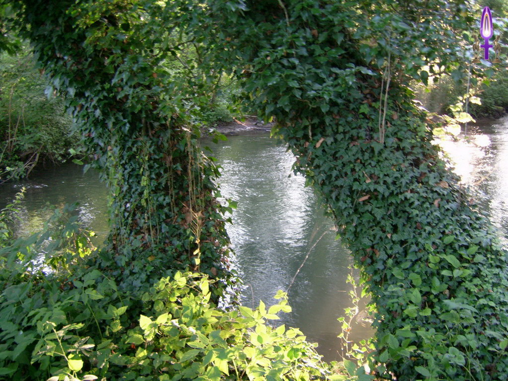 Espace No 13 : Dans le sens du courant comme dans le sens opposé, s'étirer dans la douceur permet toujours de grandir notre vision et notre perception de la Vie vers la Lumière...