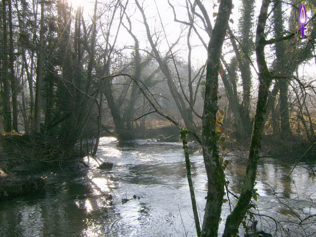 Espace No 19 : Apprécier pleinement l'harmonie du mouvement, que ce soit par les méandres de l'Eau ou par les caresses du Vent, et découvrir ce que sont les ondulations subtiles de la Vie...